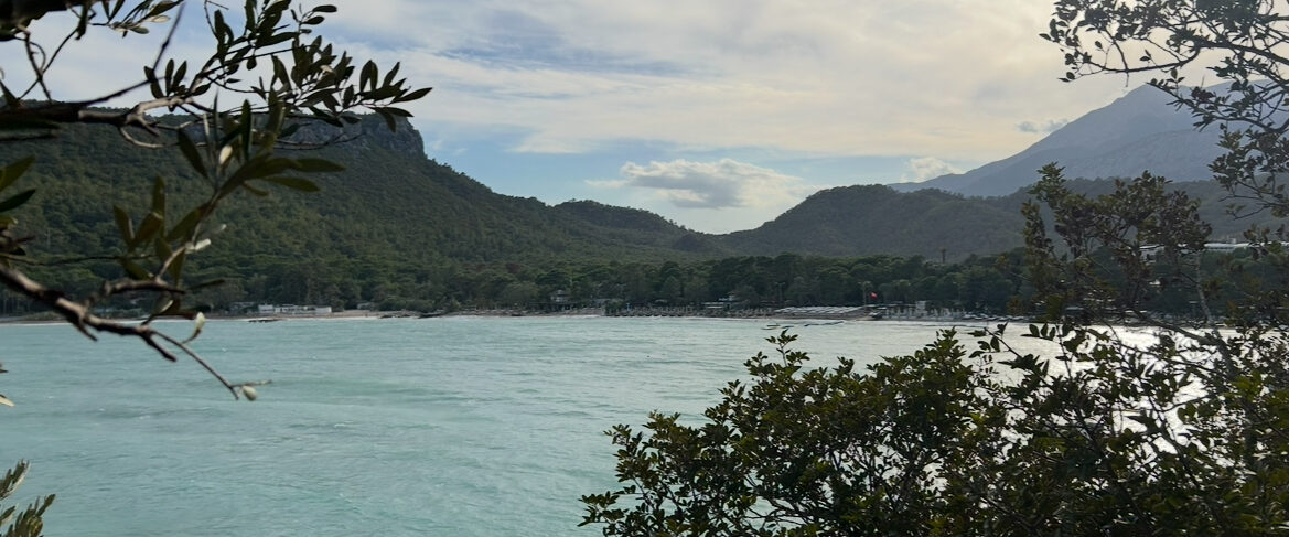 <span class="vcard">admin</span>